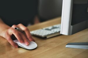 Female accountant using the computer